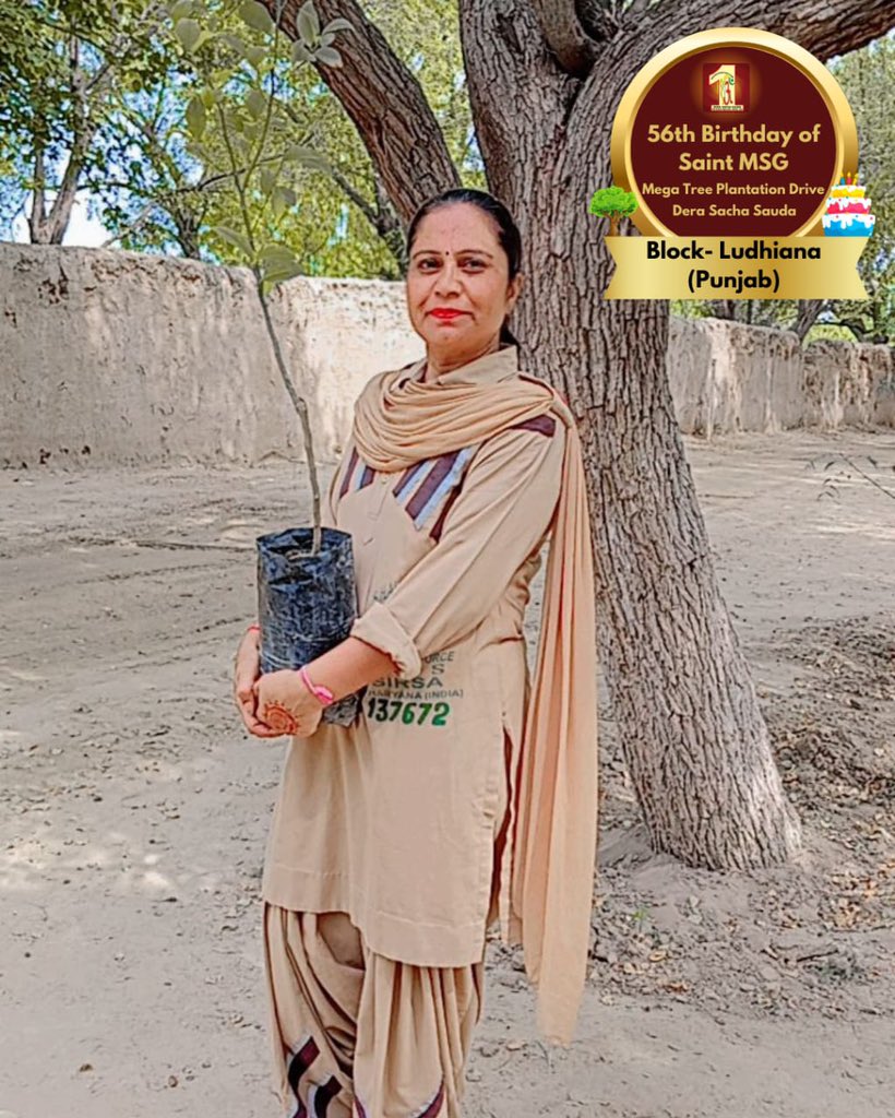 DSSNewsUpdates's tweet image. Each sapling is a green celebration! Dera Sacha Sauda volunteers honor Saint Dr. Gurmeet Ram Rahim Singh Ji Insan's 56th birthday ‘MSGBhandara’ with the timeless gift of🌲greenery.  #56thBirthday #SaintDrMSG #DeraSachaSauda #TreePlantation