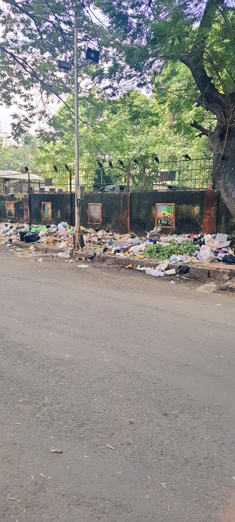 anilkore01's tweet photo. @mybmc @mybmcWardGN आज पितांबर लेन, देसाई मैदान मागील महानगर पालिकेच्या कचरा विभाग चौकीत तक्रार करण्यासाठी गेलो असता त्या चौकीच्या गेट समोरच कचऱ्याकचा एवढा ढीग पसरलेला होता. तक्रार करायची तरी कोणाकडे आता ❓️
@mumbaimatterz @mayor_mumbai https://t.co/Kf7ArE9UzW