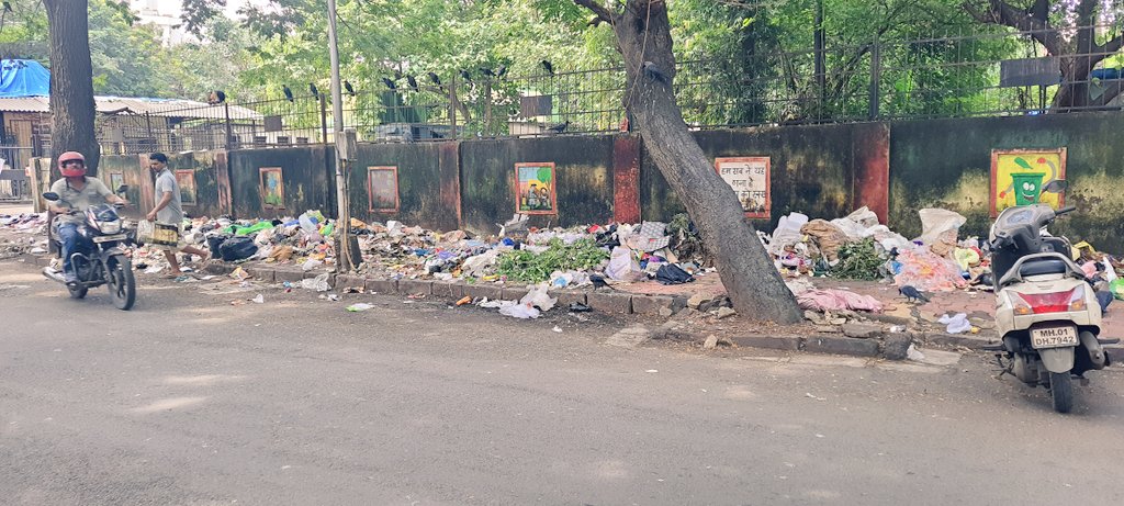 anilkore01's tweet photo. @mybmc @mybmcWardGN आज पितांबर लेन, देसाई मैदान मागील महानगर पालिकेच्या कचरा विभाग चौकीत तक्रार करण्यासाठी गेलो असता त्या चौकीच्या गेट समोरच कचऱ्याकचा एवढा ढीग पसरलेला होता. तक्रार करायची तरी कोणाकडे आता ❓️
@mumbaimatterz @mayor_mumbai https://t.co/Kf7ArE9UzW