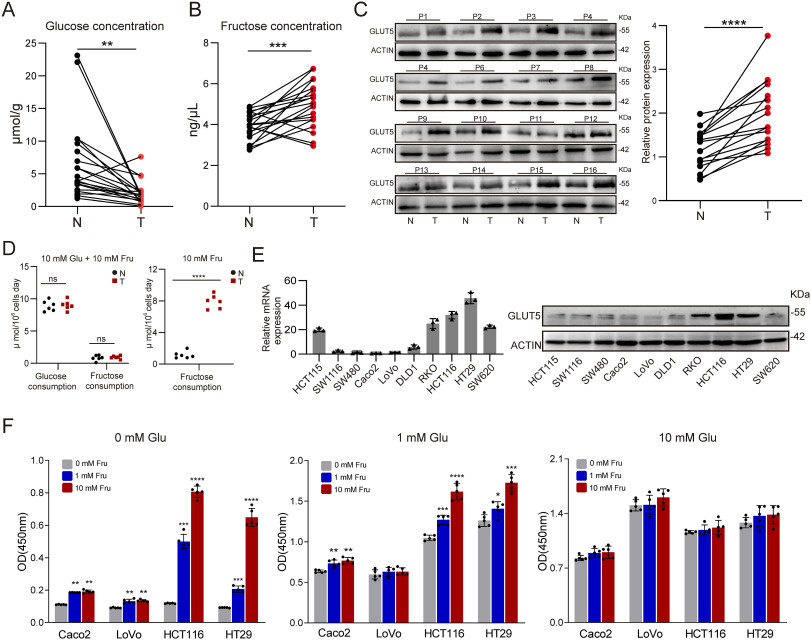 🍓FRUCTOSA COMO IMPULSOR DEL CÁNCER COLORRECTAL

🧐El metabolismo en las células cancerosas se encuentra alterado. Estas podrían llegar a emplear la fructosa para compensar insuficiencia de glucosa, mejorando la proliferación.

Dentro hilo.🧵👇