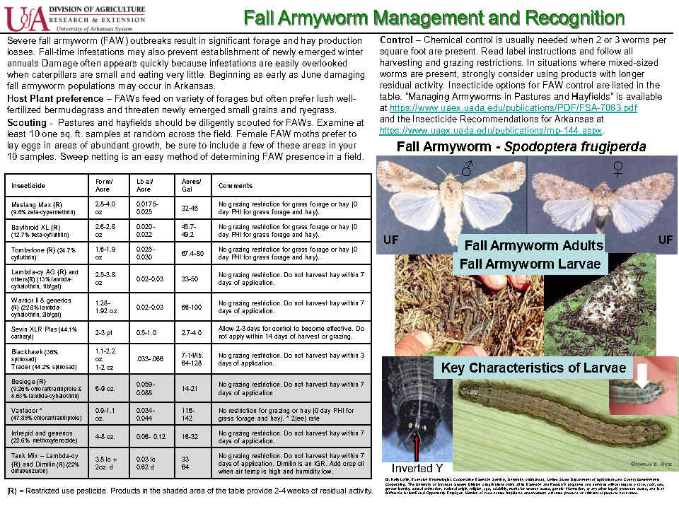 White County has had some hay fields treated for armyworms.  Beware if you have fertilized bermudagrass fields with some growth.
