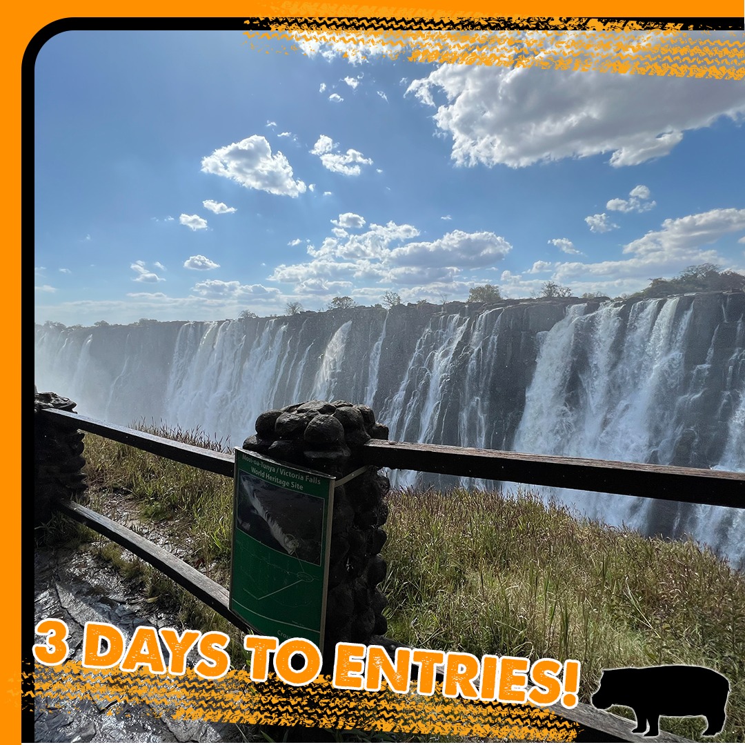3 days to go until early bird entries open!

The 2024 route will Start in Cape Town and.... end in Botswana!  Will there be 4 countries or 5? We'll know in November when the official route is announced!

Early Bird Entries eepurl.com/iwB6p6. 

#rally #africa #adventure