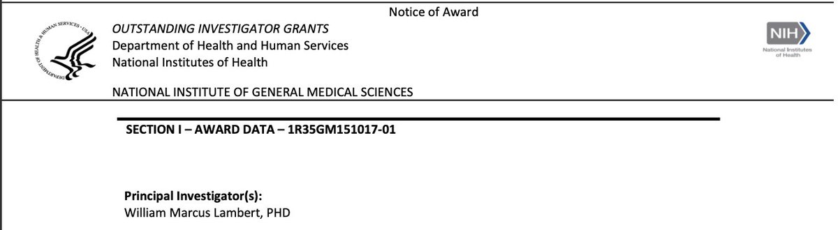 We've just received a $1.72M @NIGMS MIRA R35, an R01-equivalent grant that will fuel our research for the next 5 years!
Using graph theory, we'll delve into the science of mentorship networks and develop interventions to help UR researchers build their own support systems.