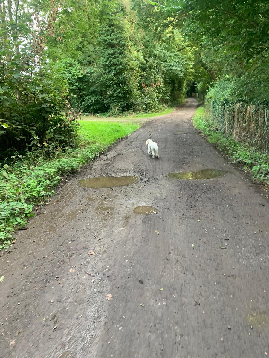 TI Mel and doggy #WeActiveChallenge #AHPsActive