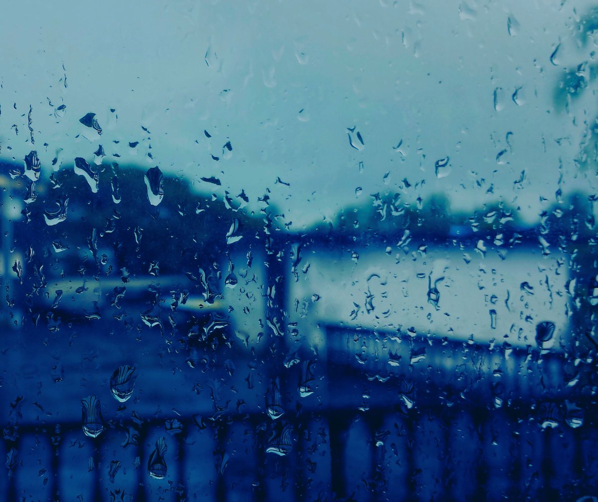 Lyngby Boldklub tweet media