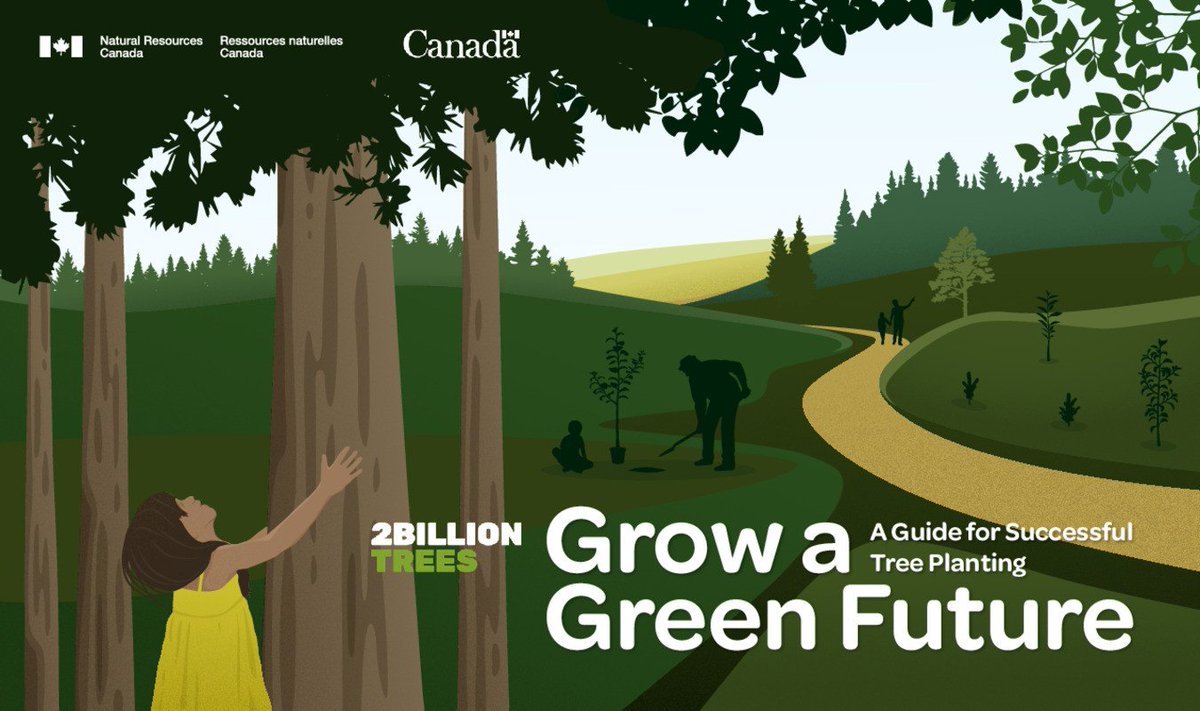 Paul Gaskin 🌲🍁 🌲 (he/il/él) tweet media