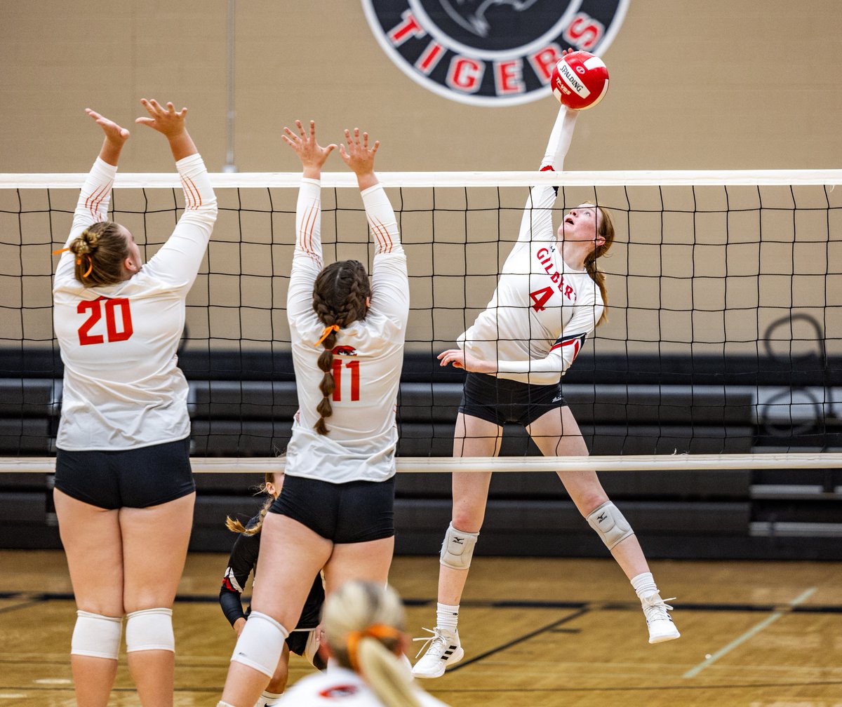 gilbert_schools's tweet photo. Photos from last night's 3-1 volleyball win over Carroll have now been posted to our photo website. To view all 113 photos in the gallery and download what you want, go here: https://t.co/5csDkDT2Vq

#GilbertPride #TigersTogether https://t.co/1wS88qQ93s