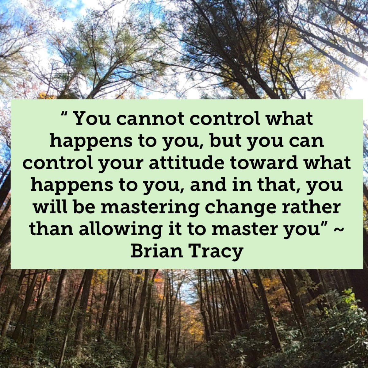 KailenePiazza tweet media