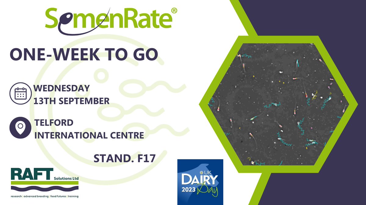 🐄ONE-WEEK TO GO🐄

Are you attending UK Dairy Day? Make sure you come and visit the RAFT Solutions Ltd stand, F17, and find out all about our independent semen quality analysis service, SemenRate!

We look forward to seeing you there! 🤩

#semenrate #ukdairyday23 #Dairyfarming