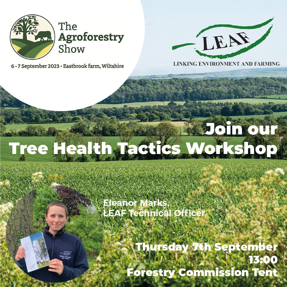 LEAF_Farming's tweet photo. 1 week to go!!! ๐ณ๐
We're super excited for #TheAgroforestryShow23! ๐
Come & join our workshop on tree health management with our knowledgeable partners from @OakbankGame, @TheTreeCouncil, @Forest_Research & @WoodlandTrust! #SaveFarmTrees #treehealth @eleanor_Eco https://t.co/NvfgeOhxIs