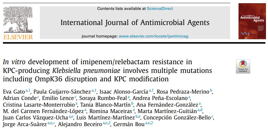 Glad to see finally published in #IJAA our latest work anticipating the major impact that KPC substitutions and OmpK36 disruption have in the activity of imipenem/relebactam against KPC-producing K. pneumoniae. Changes N132S and L167R in KPC decrease the potency of relebactam.