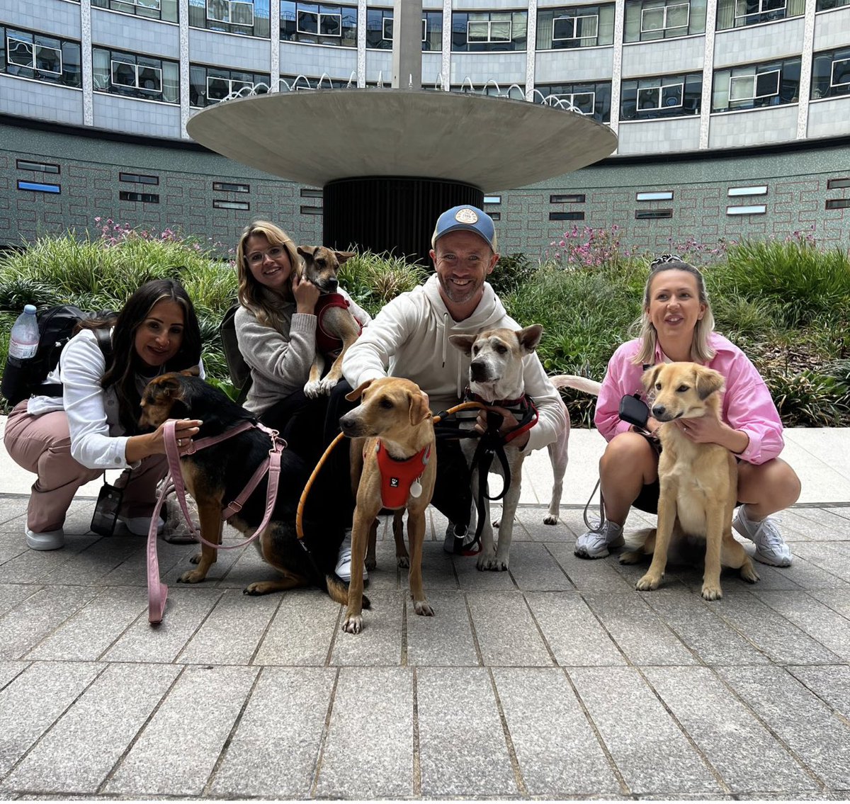 Niall Harbison tweet media