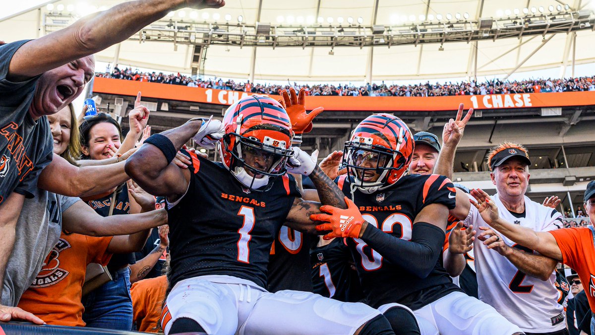 Bengals tweet picture