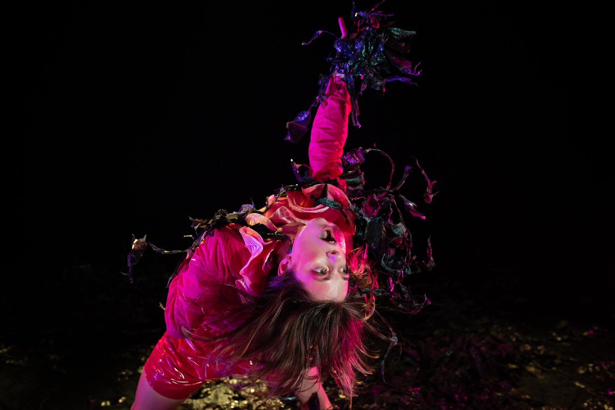 Leeds Dance Partnership tweet media