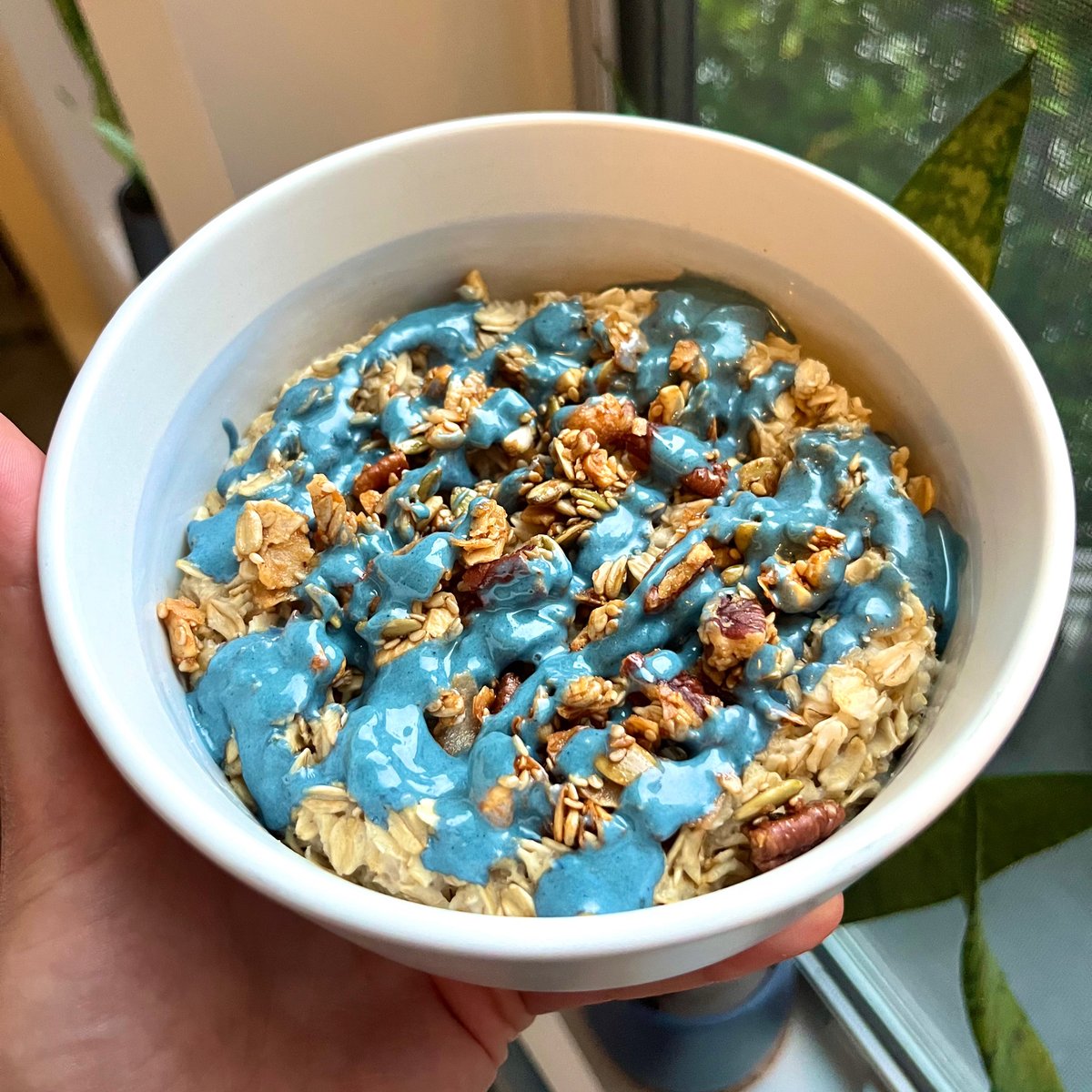 heyELAVI's tweet photo. plz help me caption this breakfast: Unicorn oats or Smurf surprise? https://t.co/mkSdxMNMTw