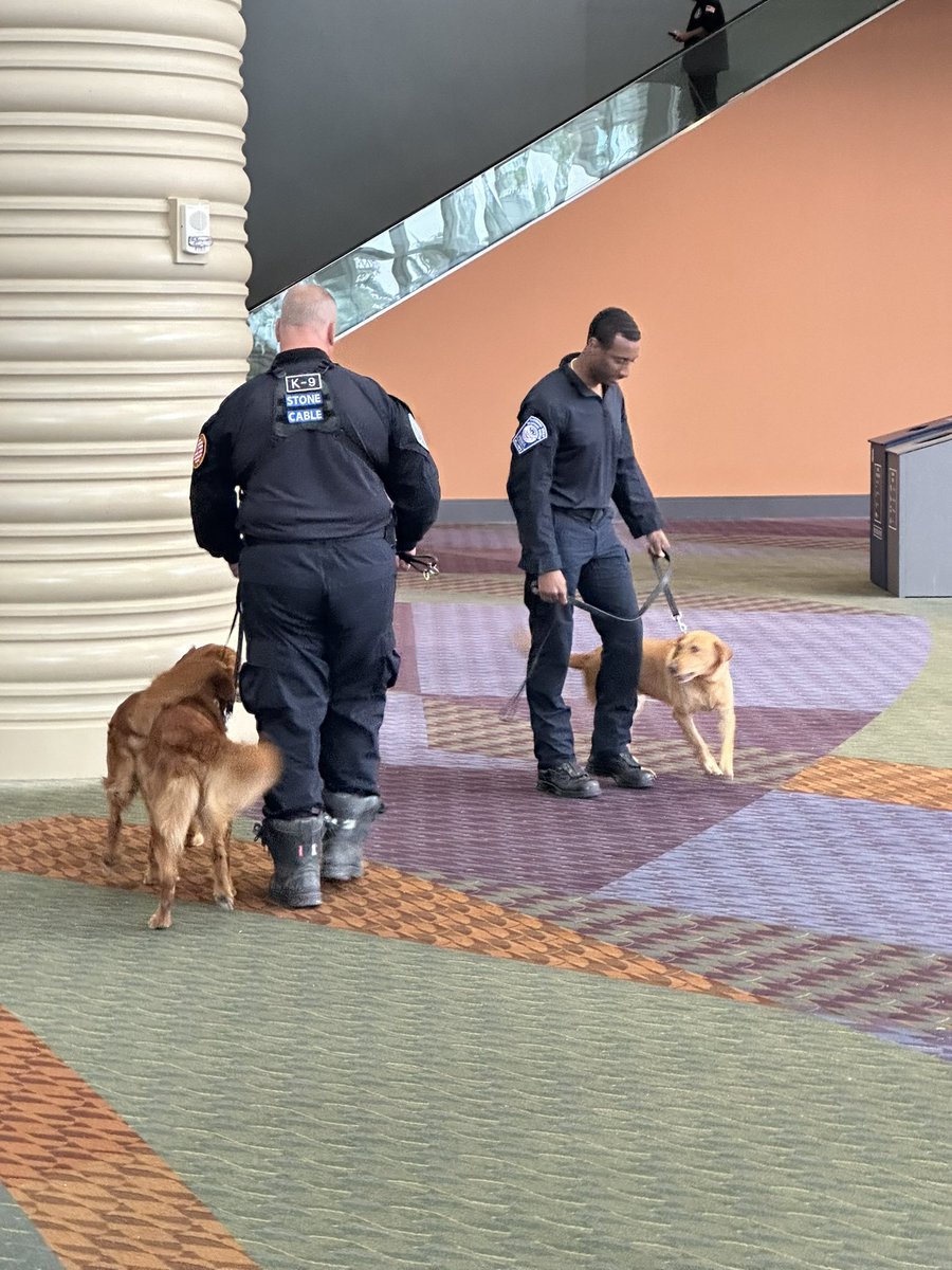 Urban Search and Rescue Teams from Texas and Missouri are rolling Eastbound on Interstate 10 for the Hurricane #Idalia impacted areas. Teams from Florida, Virginia and Pennsylvania are about to start rolling Northbound towards Levy and Dixie Counties. #Godspeed