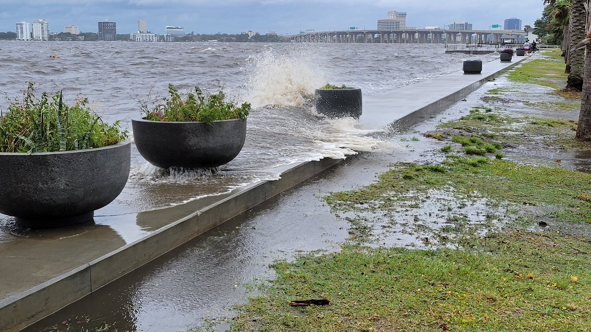 Dan Scanlan tweet media