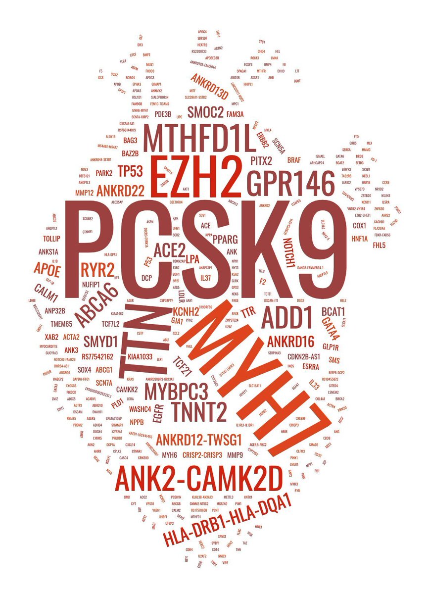 Circ_Gen's tweet photo. We are excited to announce a special emphasis of articles titled: the Cardioinformatics Series. We welcome new submissions of novel research and review articles along this scientific avenue for consideration at the journal. Find them here: https://t.co/ZZZ1uzgUGz https://t.co/e2YO4SWvER