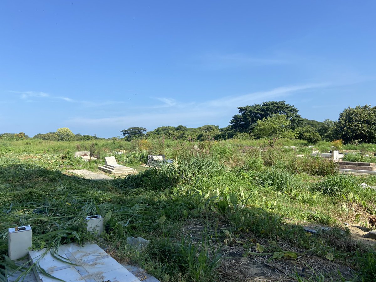 En la mañana de hoy, estuvimos en el cementerio… Jardin de mis recuerdo haciendo la limpieza del mismo.

Nosotros venceremos 👍👍👍

Vamos por más 💪💪💪