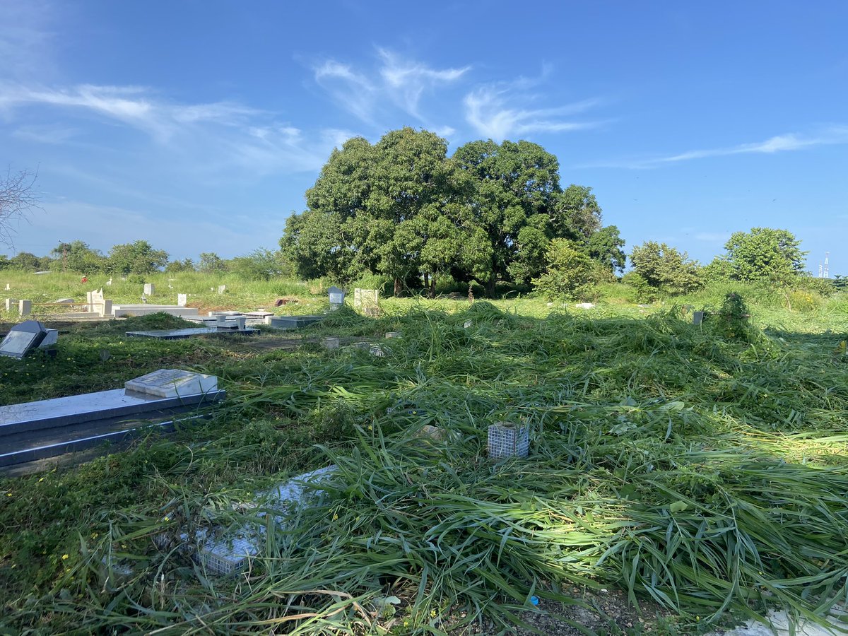 DanielNPSUV's tweet photo. En la mañana de hoy, estuvimos en el cementerio… Jardin de mis recuerdo haciendo la limpieza del mismo.

Nosotros venceremos 👍👍👍

Vamos por más 💪💪💪 https://t.co/NWo8yZ70fv