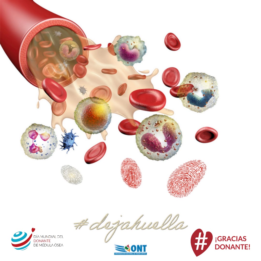 sanidadgob's tweet photo. 📢¿Qué probabilidad hay de que hoy decidas salvar una vida?  

📲 Apúntate en el Registro de Donantes de Médula Ósea y haz posible aumentar la probabilidad de encontrar un donante compatible para pacientes que necesitan un trasplante de médula ósea

https://t.co/dYSg0JBzU6 https://t.co/xJSQxJbzxA