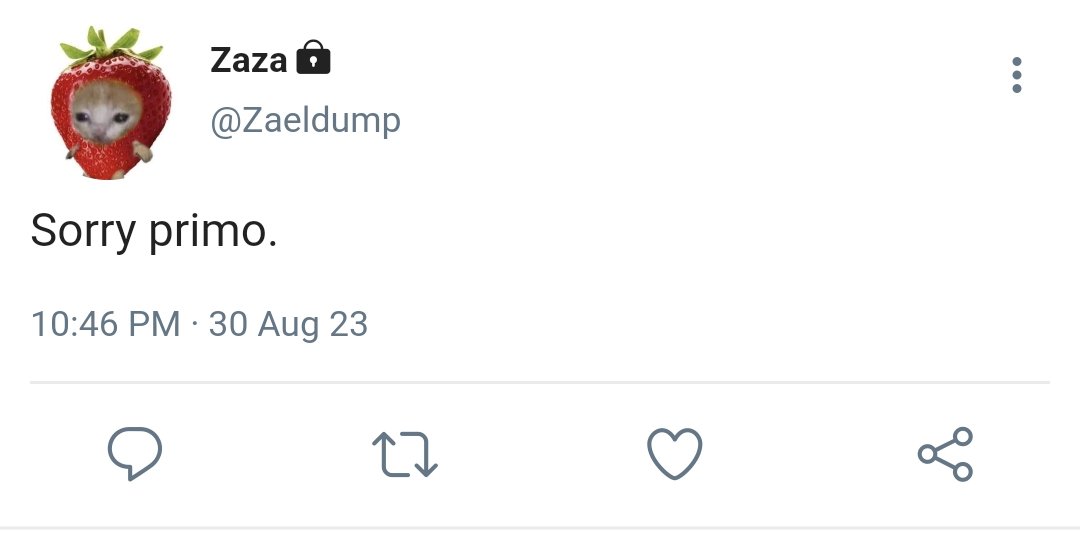 kaito 海斗 tweet media