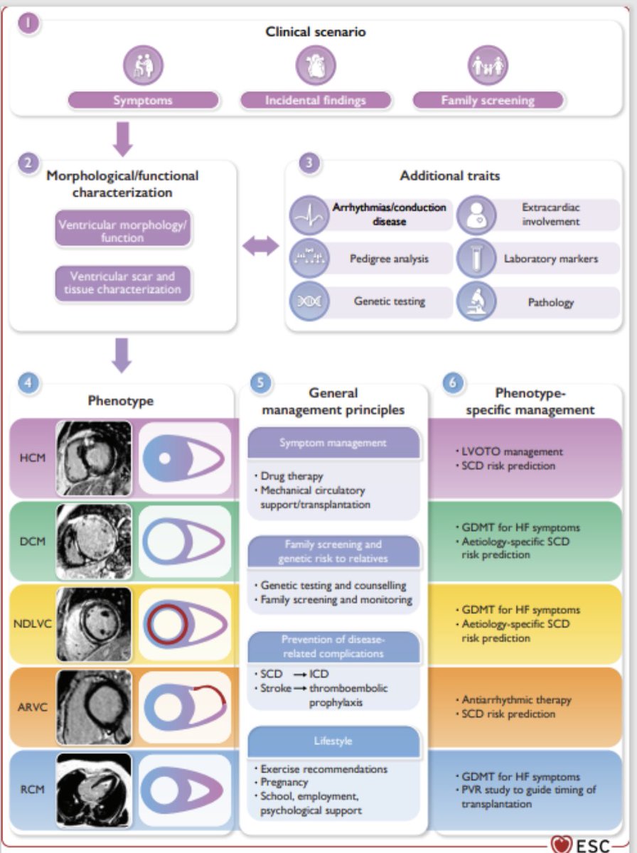 Wonderful to see so many friends and colleagues @escardio Congress in Amsterdam. Honoured to have chaired and presented the 1st international guidelines on #cardiomyopathies with @arbelo_e. Thank you to all the taskforce members - a great team of experts & real team effort!