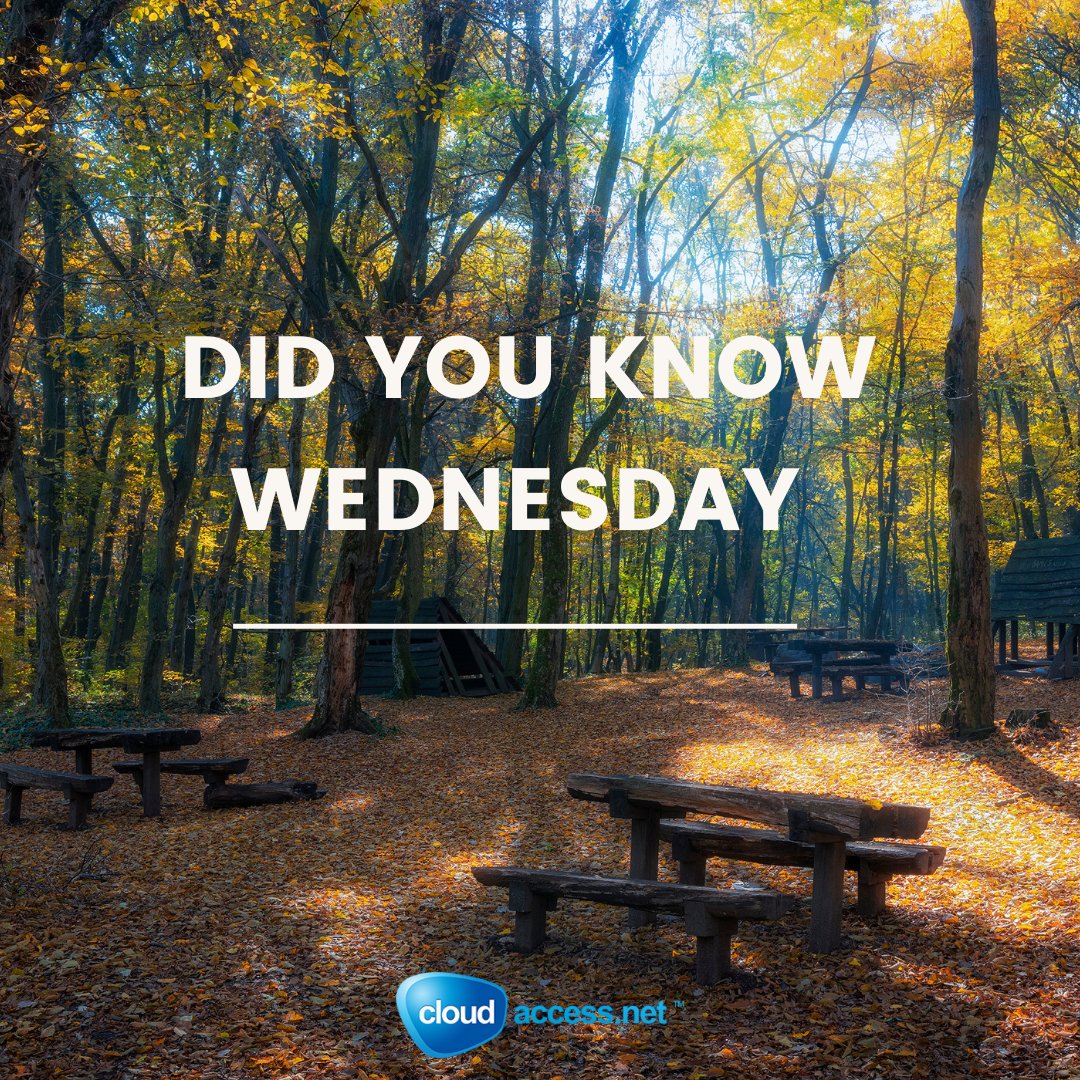 💻 Storage matters! Web hosting providers offer various storage options, ranging from shared hosting with limited storage space to dedicated servers with terabytes of storage capacity. Find the perfect storage fit for your website's needs! 🗂️🌐 #WebHostingFacts #StorageSolutions