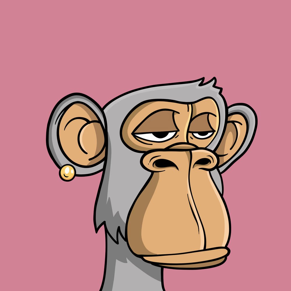 BoringApes_io's tweet photo. MINT SALE 24hrs!!! 

Mint your #BoringApe now and join the community! 

➡️ https://t.co/DnlmC1urf0 | 0.0025 

#NFT #NFTs #Boring https://t.co/fcyowdUrQj