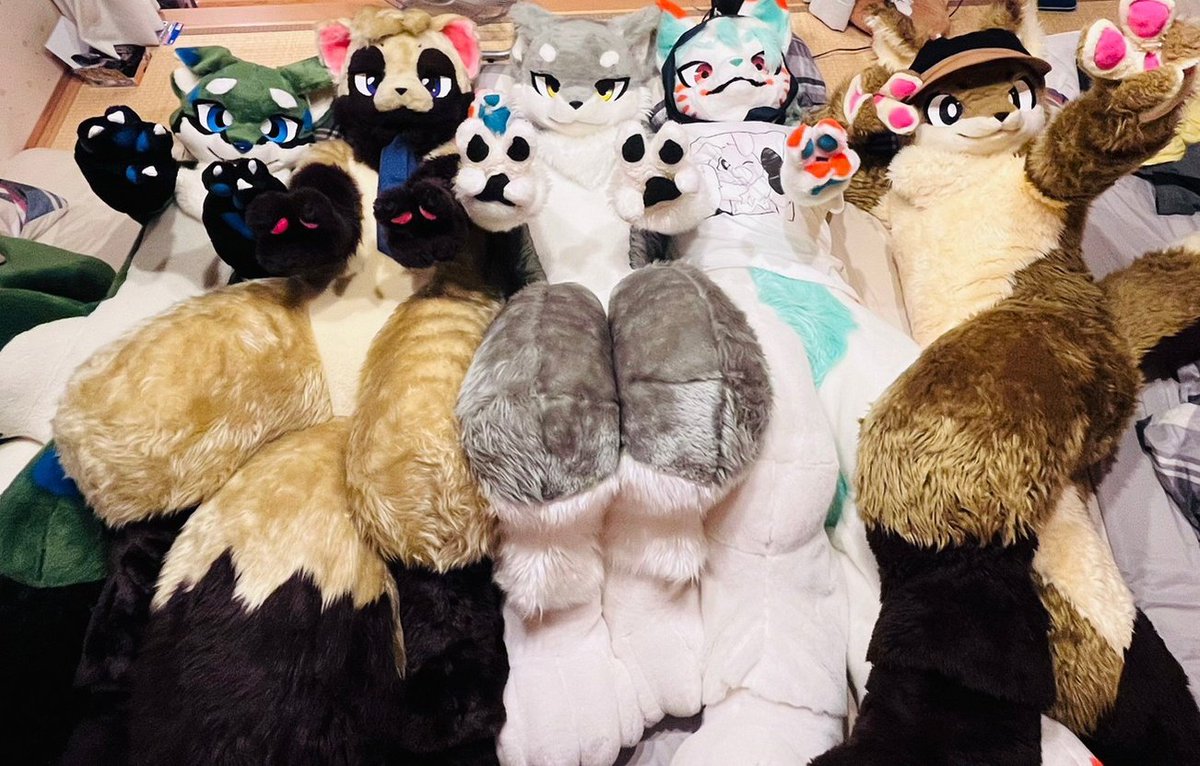 ウィル@たぬき tweet media