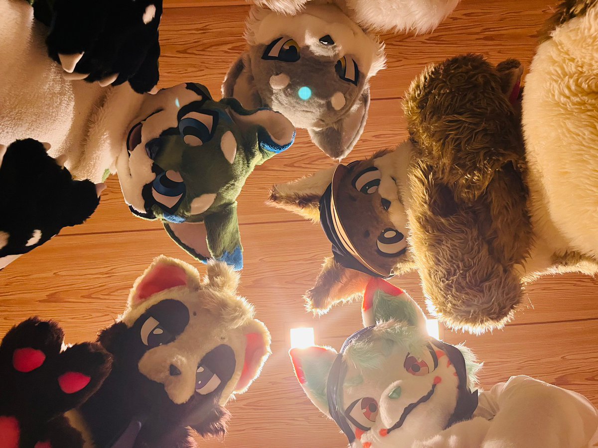 ウィル@たぬき tweet media