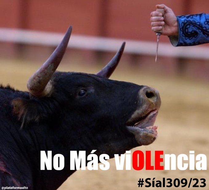 PlataformaALTO's tweet photo. Hoy se debate el proyecto de ley que busca prohibir la barbarie de las corridas de toros en Colombia. Invitamos a la Plenaria del Senado a acompañar este importante debate y a votar favorablemente el PL 309/23💛💙❤️🐂. https://t.co/QXd2SqtUAb