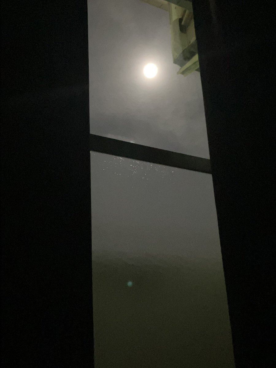 twinsmustwin's tweet photo. 月が眩しい🌕
太陽みたい🤔 https://t.co/5Czg9v0x2J