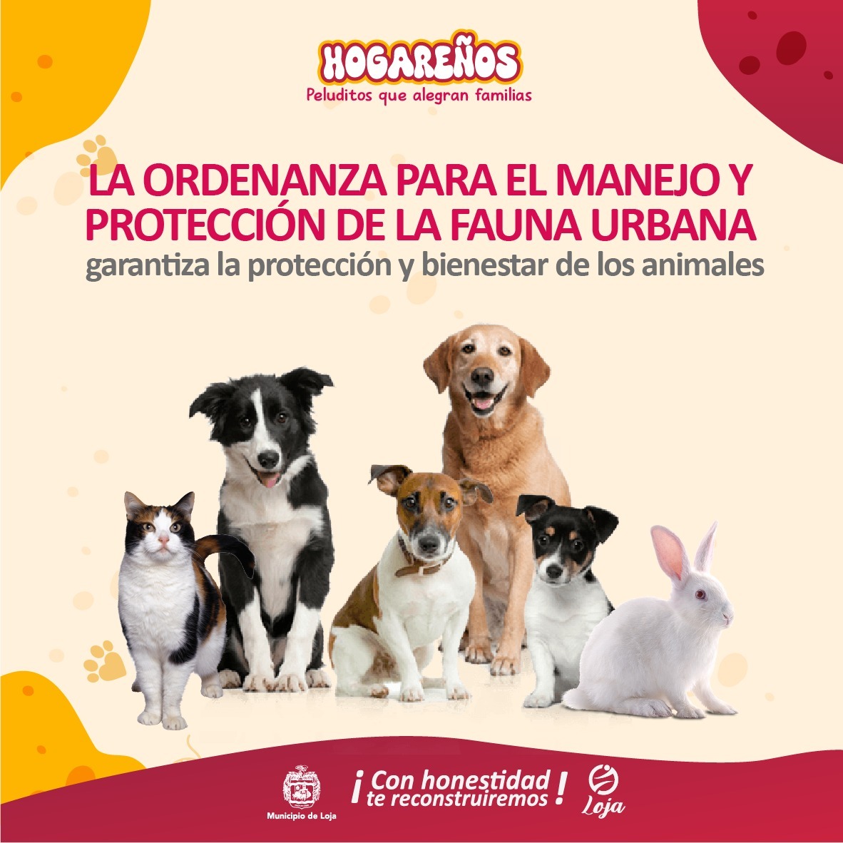 Municipio de Loja tweet media