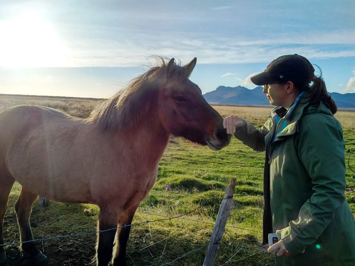 amy ×͜× || TRAUMA BONDED ❤🖤 tweet media