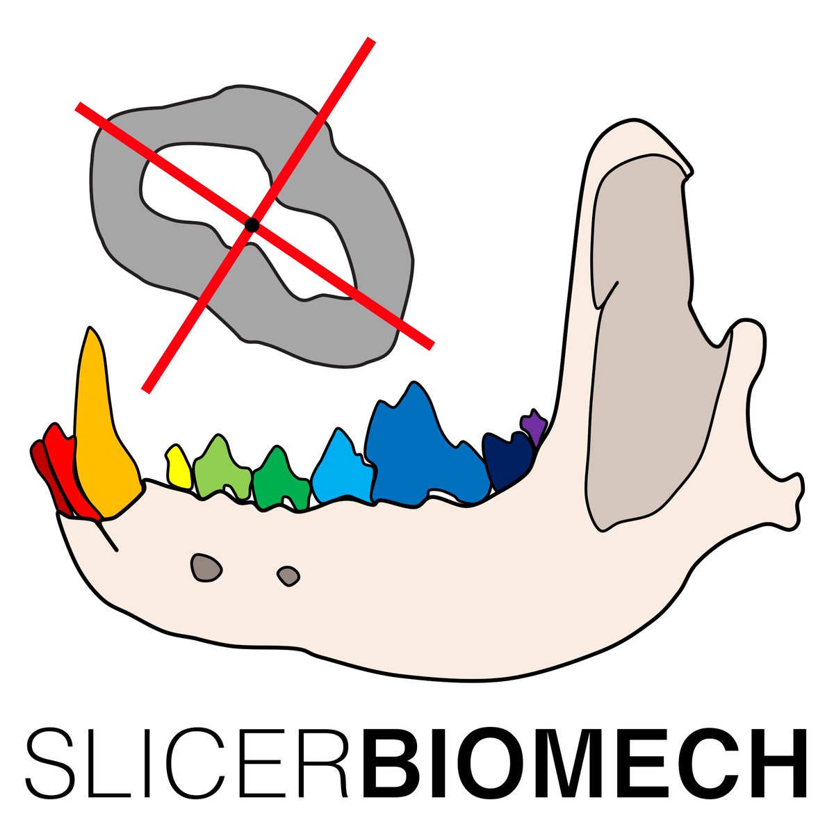 jmhuiee's tweet image. @3DSlicerApp v5.4 dropped!

If you're looking for SegmentGeometry, the module is now part of the new SlicerBiomech extension. More tools and more tutorials coming soon!

github.com/jmhuie/SlicerB…