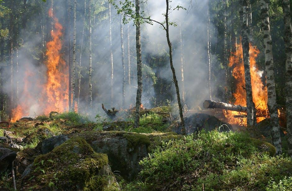 PaulTaylor43's tweet photo. Learn about the latest updates to the @Esri #WildfireAware app that tracks #wildfires across the United States. https://t.co/UytxkyO45M https://t.co/uVBQ5tSVxJ