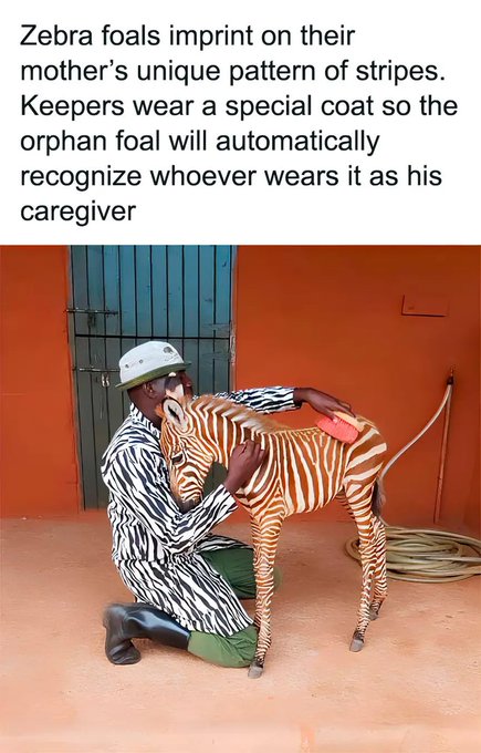 Awwww.....the feels. ❤️ https://t.co/FUotIdc61Y