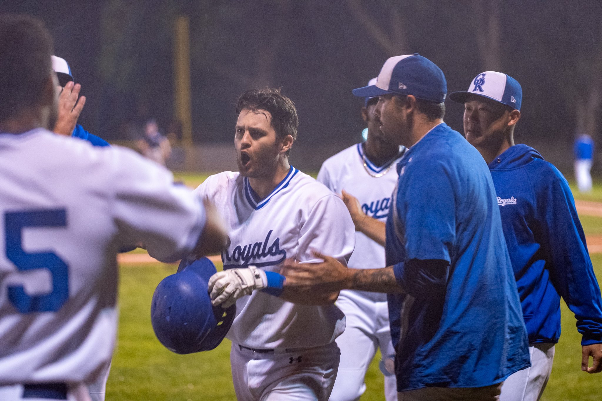 Home - Guelph Royals Baseball Club