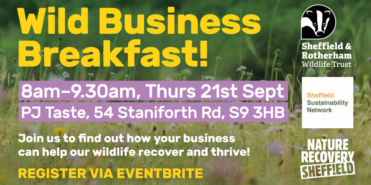 Join us for a Wild Business Breakfast!

We’ve come together with <a href="/SheffSustainNet/">Sheffield Sustainability Network</a> &amp; <a href="/RecoveryNature/">NatureSheffield</a> to host a breakfast networking event on Thursday 21st September.

Get your tickets now: wildsheffield.com/event/wild-bus…