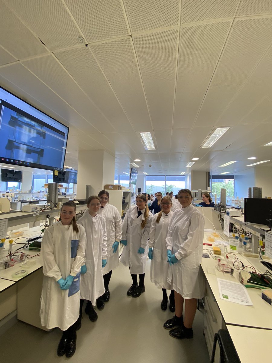 MissGalang23's tweet photo. @stninianshs Senior biologists visited @SIPBS_Strath yesterday to apply thier knowledge of PCR into practice! The workshop offered pupils a fantastic opportunity to gain experience in PCR techniques and applications. What a fantastic experience!🥼🧬 https://t.co/1T6Z5hWYqx