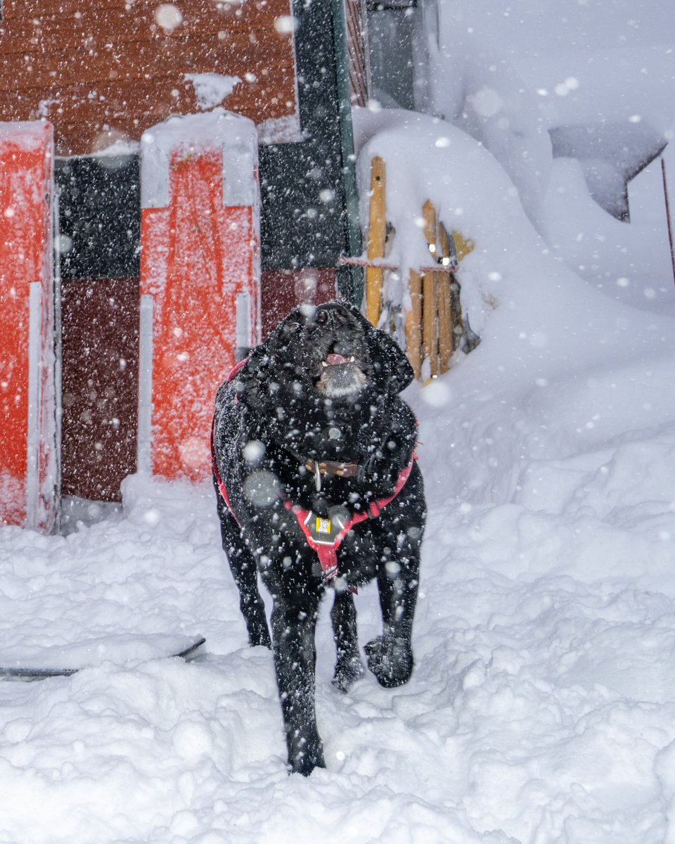 Mmmm, snowflakes! It’s about that time to get geared up for winter, so remember to secure your Pass by September 4th before prices go up. The Tahoe Local Pass is ideal for those looking to ski & ride Heavenly, @KirkwoodMTN, @Northstar_CA, and more! bit.ly/3KZLJ3K