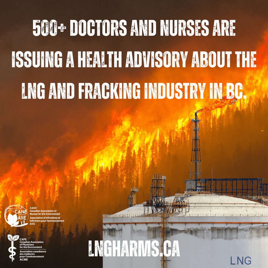 David Suzuki FDN tweet media