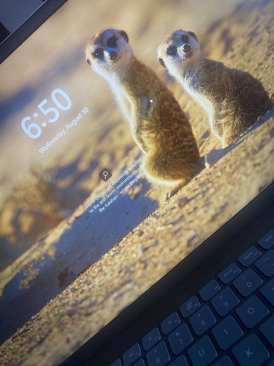 Aisha Ali #EDChatEU tweet media