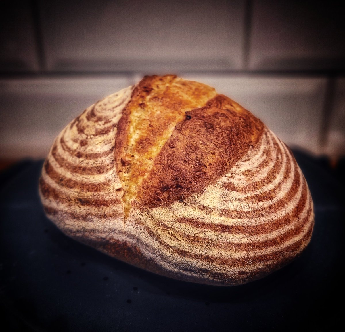 Today's sourdough loaf. Loving the banneton lines. My go-to method using a wholemeal starter and strong white flour.
#ShareYourLoaves #artisanbaker #artisanbread #bakeyourownbread #davebakesbread #bread #breadbaker #breadmaking #realbread #RealBreadCampaign #sourdough