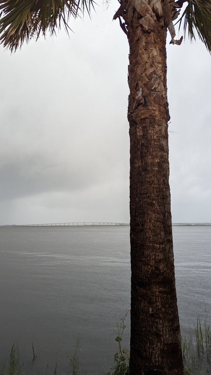 bordasc's tweet photo. Heading into low tide and the water on the stono is still on the edge of Wappoo Rd in West Ashley

@chswx @NWSCharlestonSC https://t.co/v66YS6dZYQ