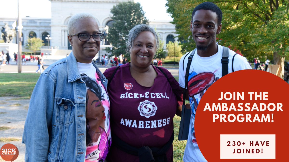 SickCells's tweet photo. Join the Ambassador Program! Our Ambassadors:
🙌 Meet with legislators at all levels to educate and advocate for sickle cell disease
📢 Share their stories at Medicaid meetings 
...and more 
JOIN TODAY:https://t.co/mCxtaYZCOH

#sickcells #ambassador #advocacy #sicklecelldisease https://t.co/4gHDXG2K7l