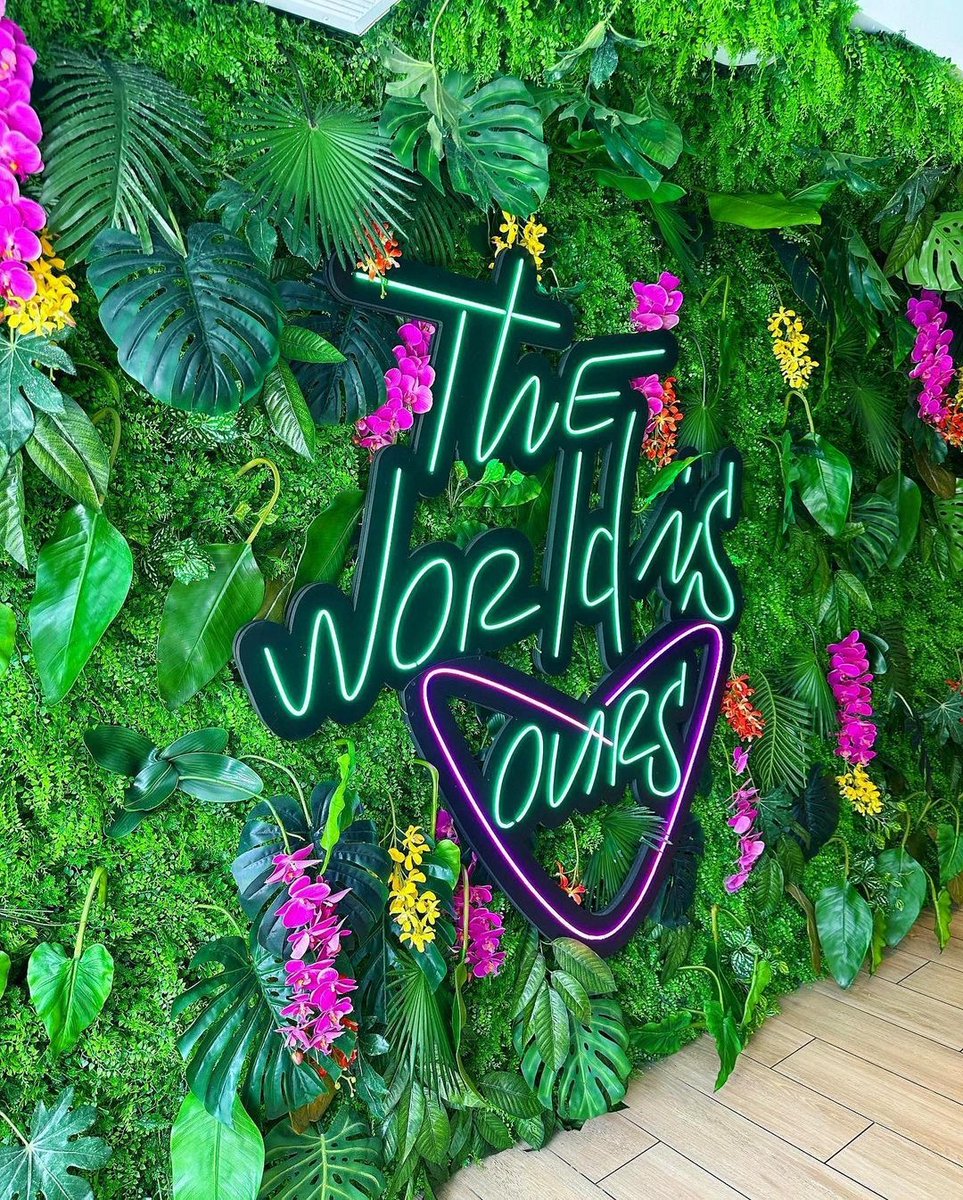 SoBe Vegan tweet media