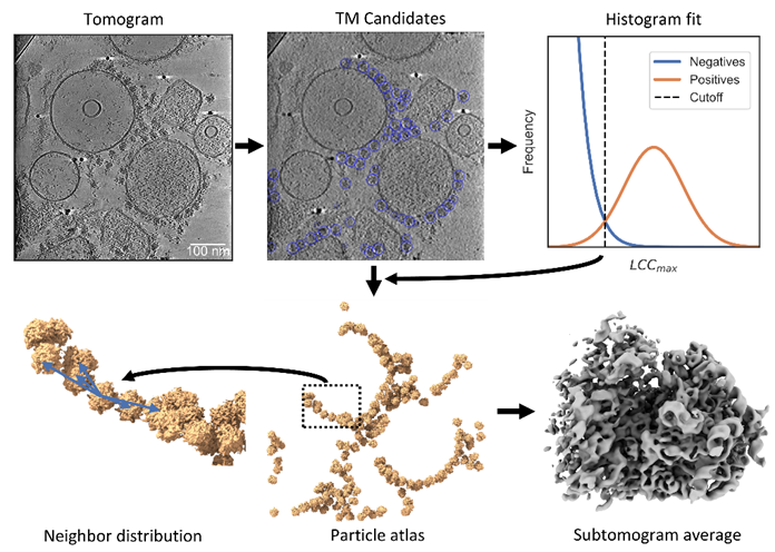 Marten Chaillet (@martenchaillet.bsky.social) tweet media