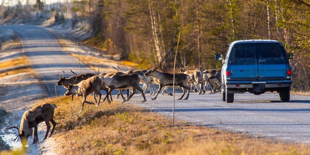 Parks Canada tweet media